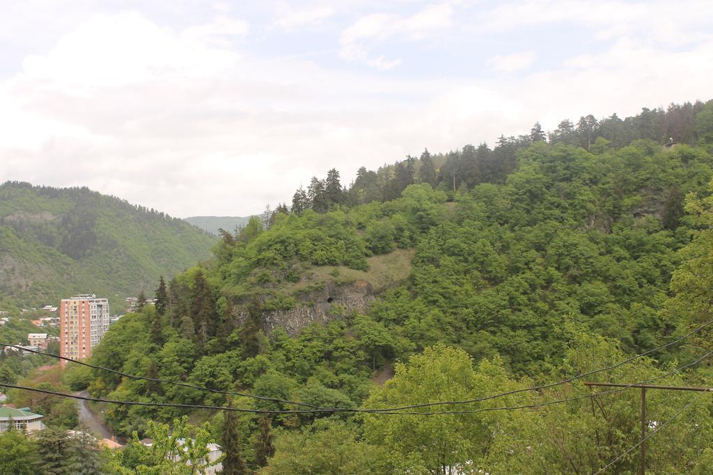 Anastasia Guesthouse Bordzjomi Buitenkant foto
